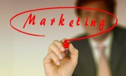Why Marketing Consultants Are So Vital To The Success Of Your Business